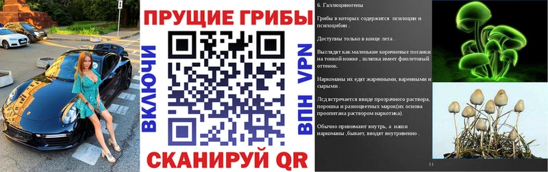 Галлюциногенные грибы Psilocybe  Починок 